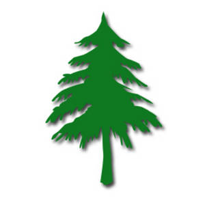 300x300 Pine Tree Clipart Free Images 5