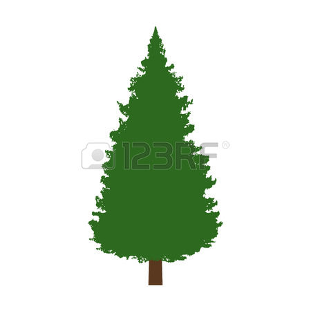 450x450 Evergreen Tree Clip Art Many Interesting Cliparts