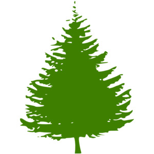 300x300 Clip Art Pine Tree Many Interesting Cliparts