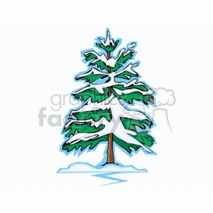 300x300 Royalty Free Snow Covered Pine Tree 152820 Vector Clip Art Image