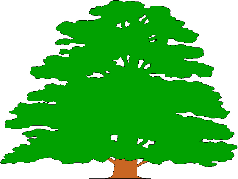 800x600 Willow Tree Clip Art