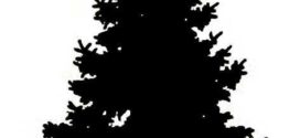 272x125 Best Pine Tree Silhouette Ideas On Forest On Pine