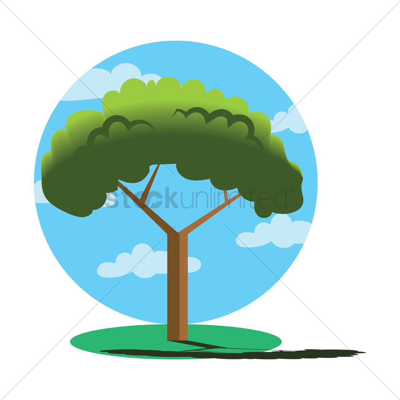 1300x1300 Mediterranean Stone Pine Tree Vector Image