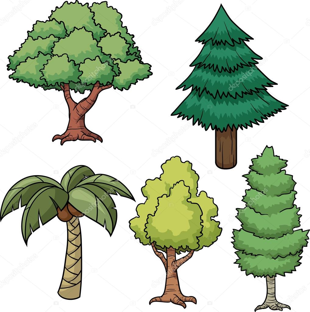 1017x1024 Pine Tree Clipart Many Tree