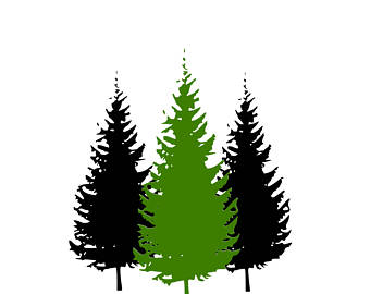 340x270 Pine Tree Svg Etsy