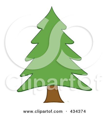 450x470 Royalty Free (Rf) Pine Tree Clipart, Illustrations, Vector Graphics