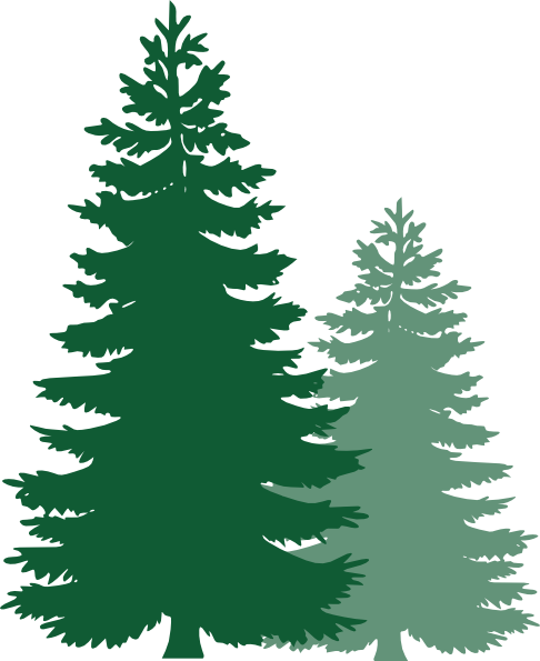 486x595 Pine Tree Clipart Free Images 3
