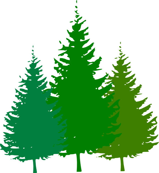 552x601 Pine Tree Clipart Logo