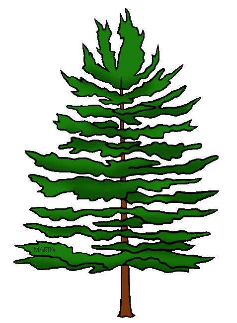 477x648 Pine Tree Clipart Clipartix