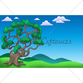 325x325 Old Pine Tree Gl Stock Images