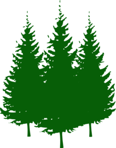 234x298 Pine Tree Clipart Royalty Free