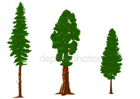 450x319 Pine Tree Silhouette Stock Vectors, Royalty Free Pine Tree