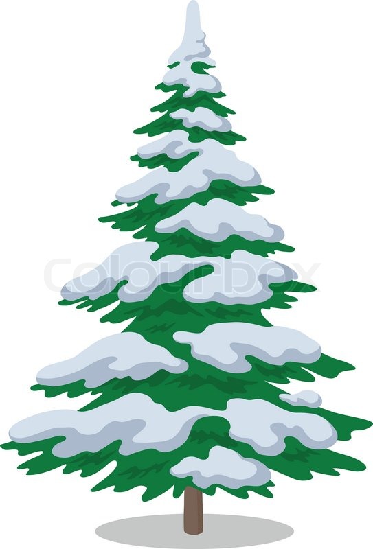 543x800 Winter Pine Trees Clipart