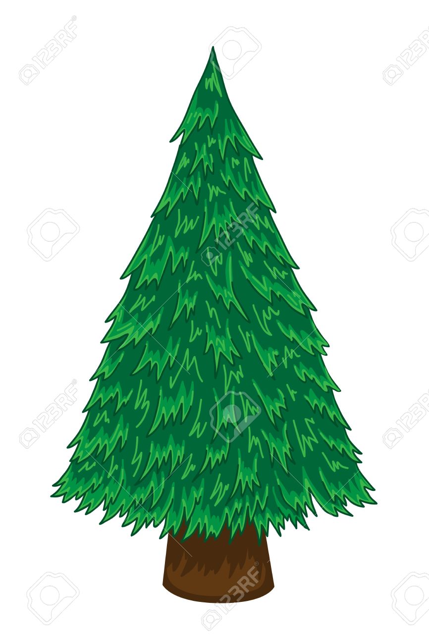 866x1300 Cute Pine Tree Clipart