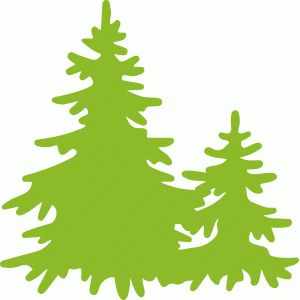 300x300 Best Pine Tree Silhouette Ideas Forest
