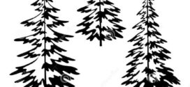 272x125 Best Pine Tree Silhouette Ideas On Forest On Fir