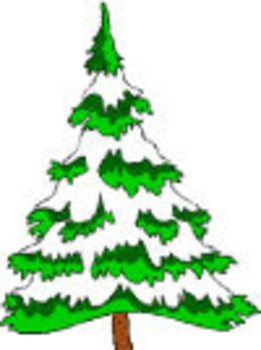 261x350 Pine Tree With Snow Clipart