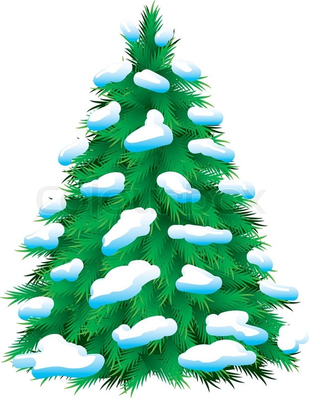 621x800 Pine Tree Clipart Snow Background