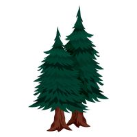 200x200 Pine Trees Vector Image