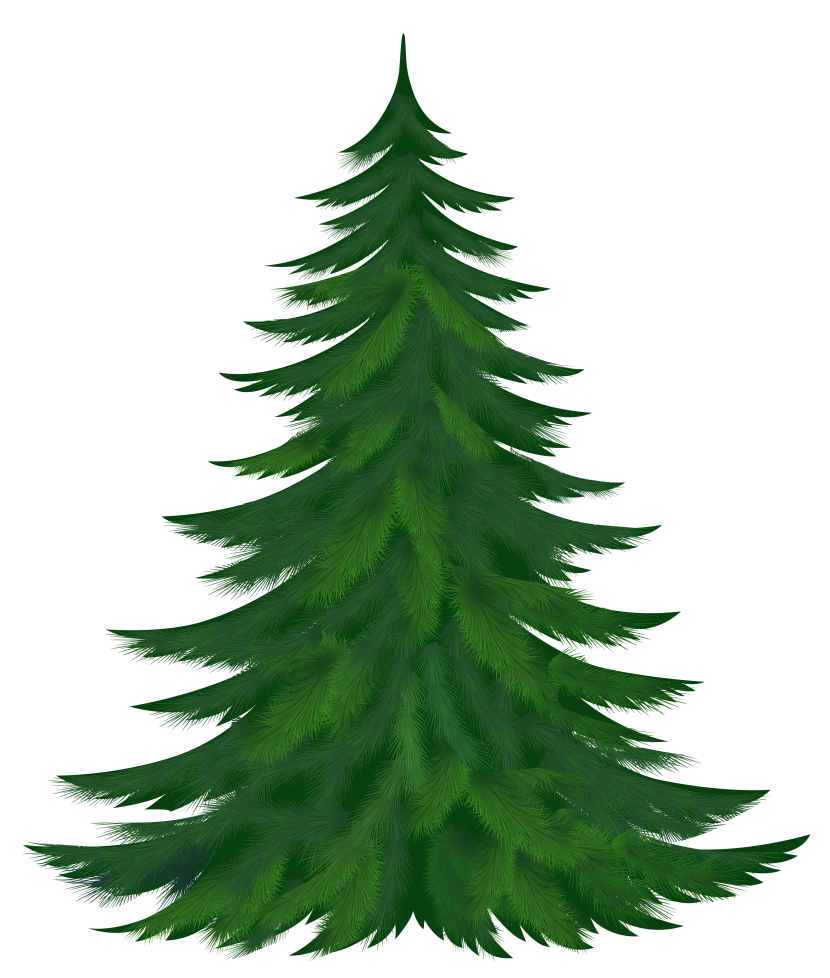 830x978 Pine Trees Clipart