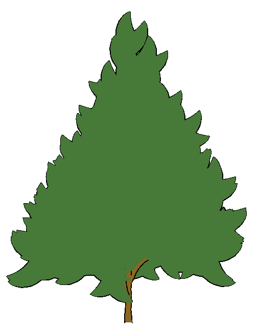 505x641 Cartoon Pine Trees