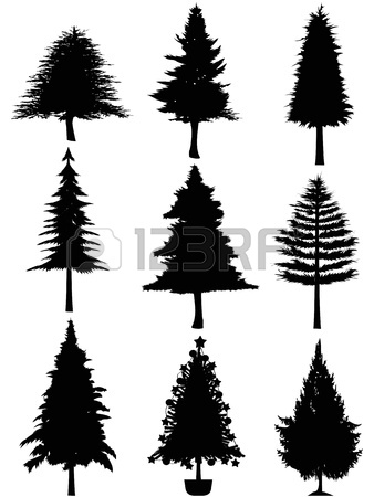 338x450 Isolated Christmas Tree Silhouette On White Background Royalty