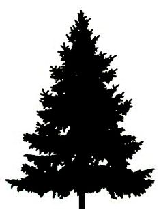 236x306 Pine January Clipart, Explore Pictures