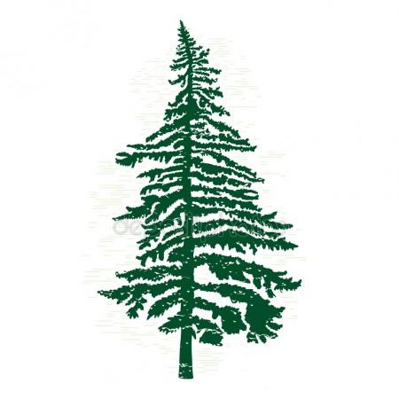 450x450 Pine Tree Silhouette Stock Photos, Royalty Free Pine Tree