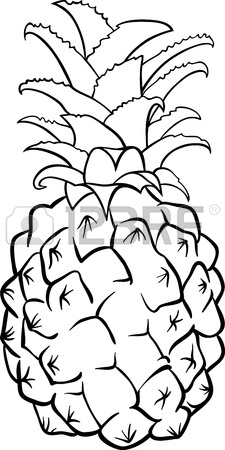 225x450 Outline Black And White Image Of A Pineapple Royalty Free Cliparts