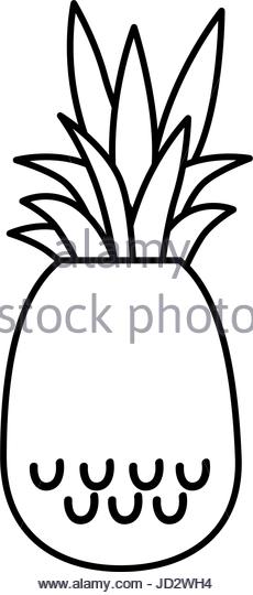 230x540 Pineapple Plant Black And White Stock Photos Amp Images