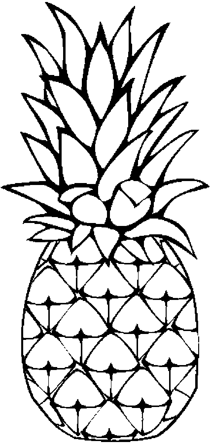 428x900 Pineapple Clipart Line Drawing