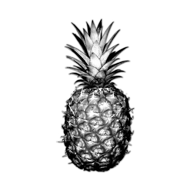630x630 Black Amp White Pineapples