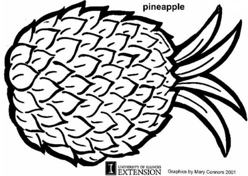 500x354 Pineapple Clipart Pineapple Clipart Black
