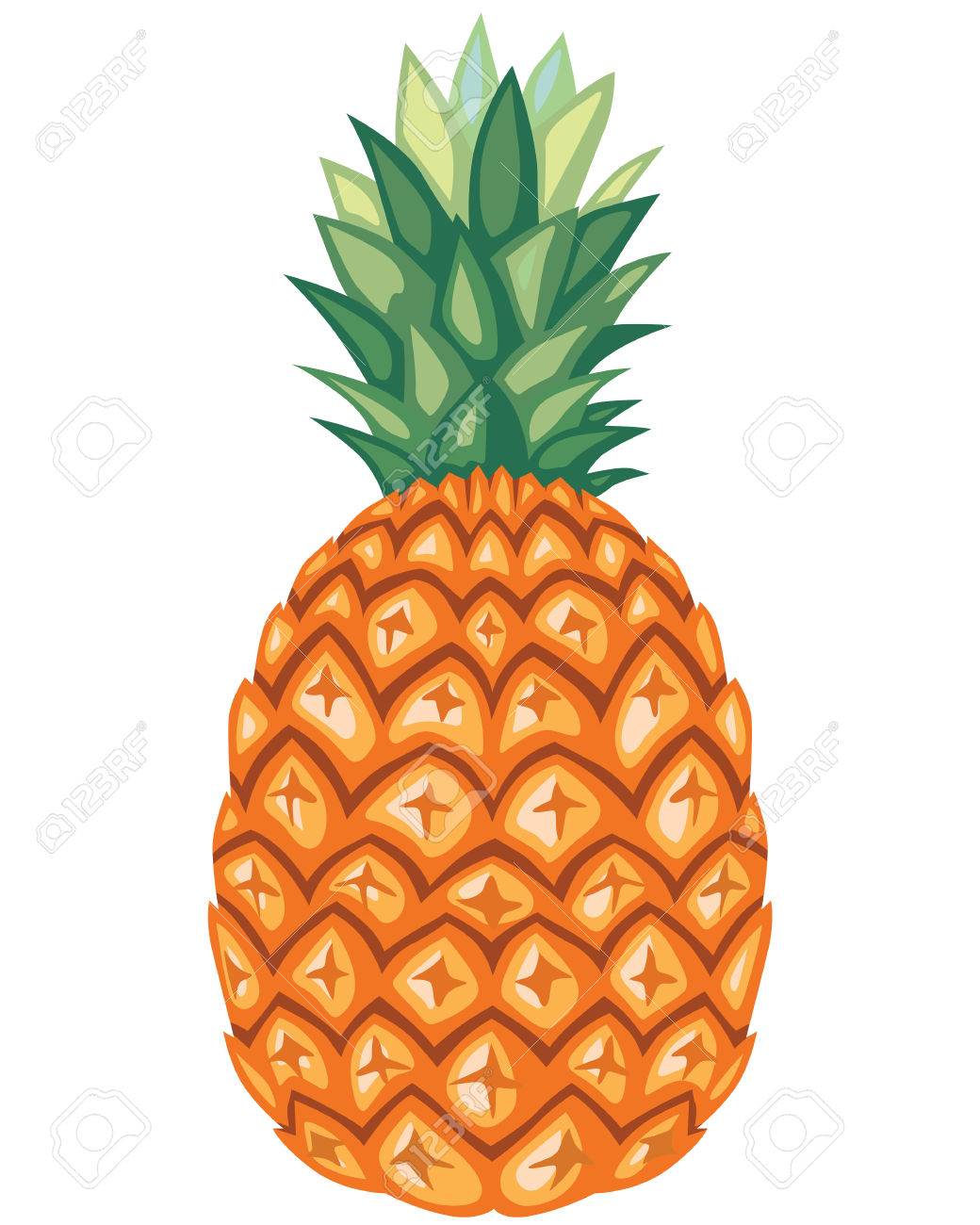 1040x1300 Colorful Clipart Pineapple
