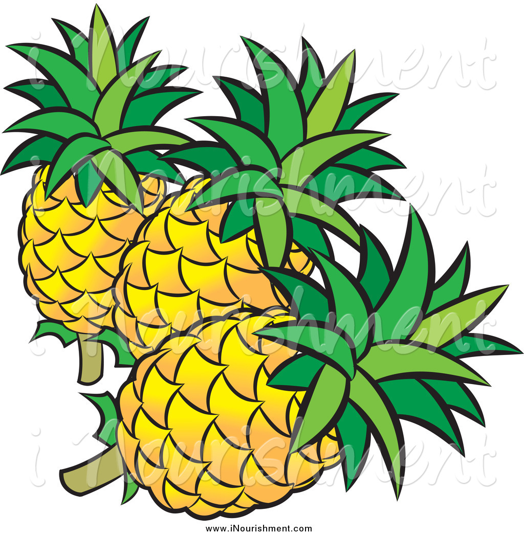 1024x1044 Pineapple Clipart Three