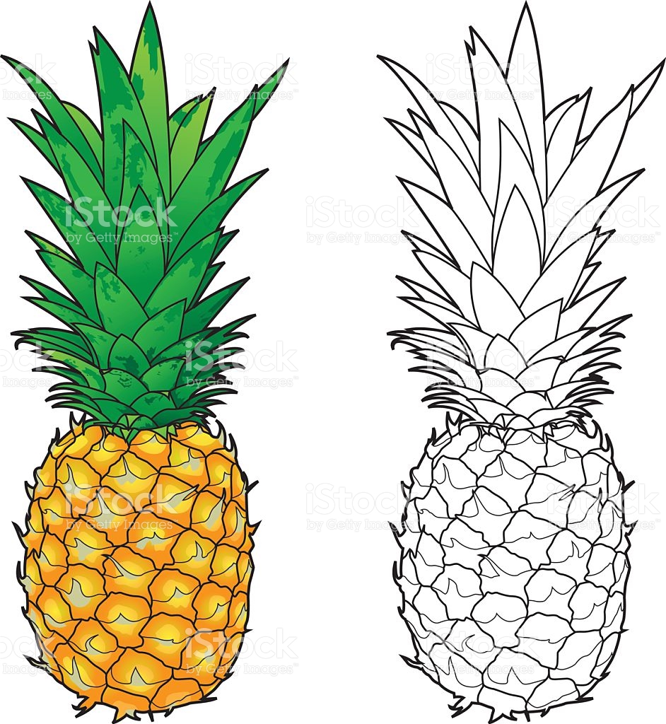 942x1024 Color Clipart Pineapple