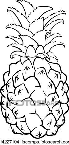 224x470 Clipart Of Pineapple Fruit For Coloring Book K14227104