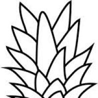 200x200 What Clipart