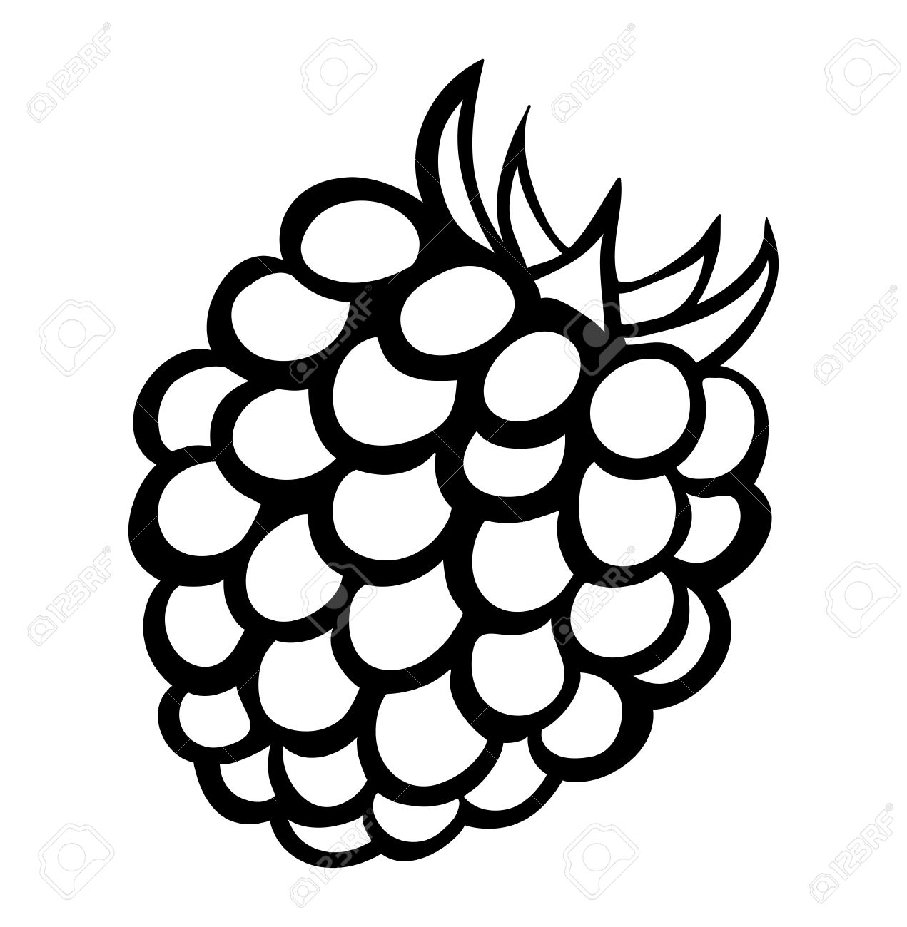 1271x1300 Blackberry Clipart Black And White