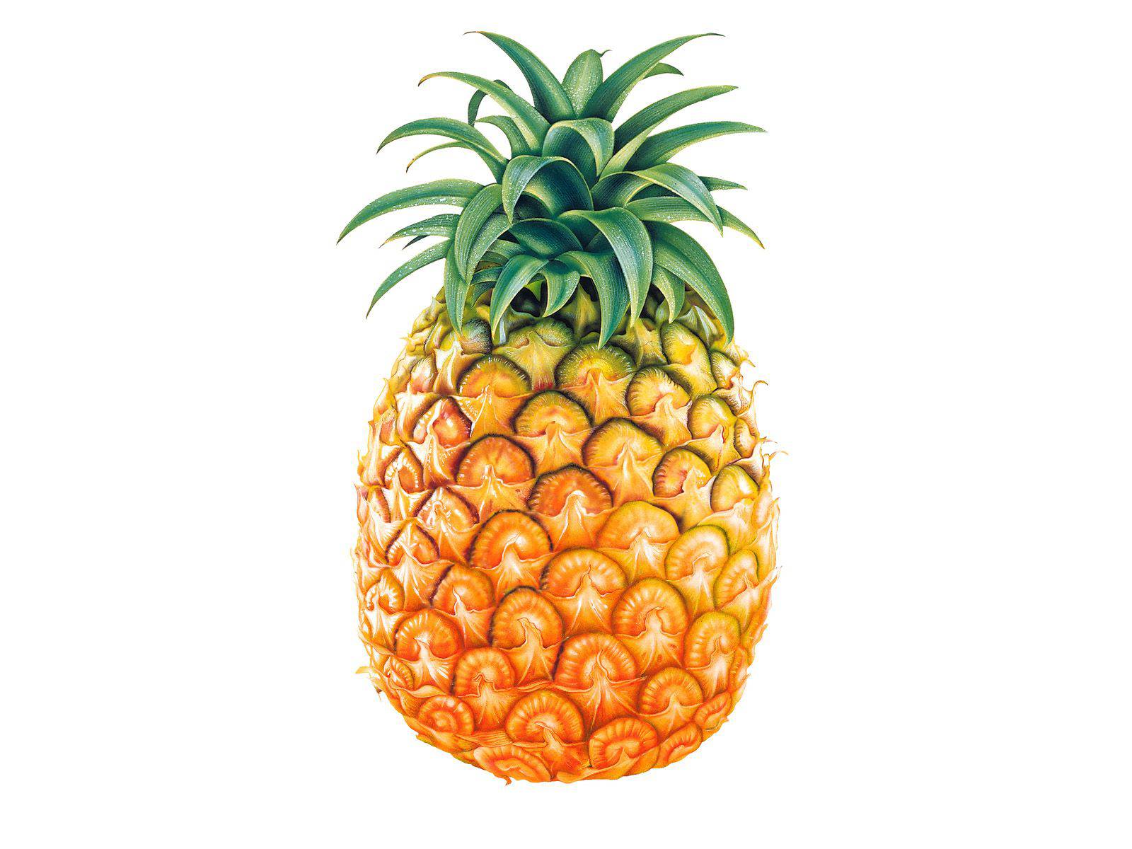 1600x1200 Pineapple Clipart Tumbler
