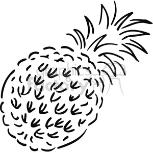 300x300 Royalty Free Pineapple Outline 383140 Vector Clip Art Image