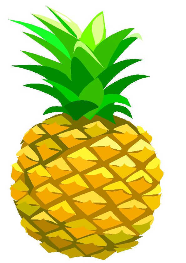 595x840 Pineapple Clipart