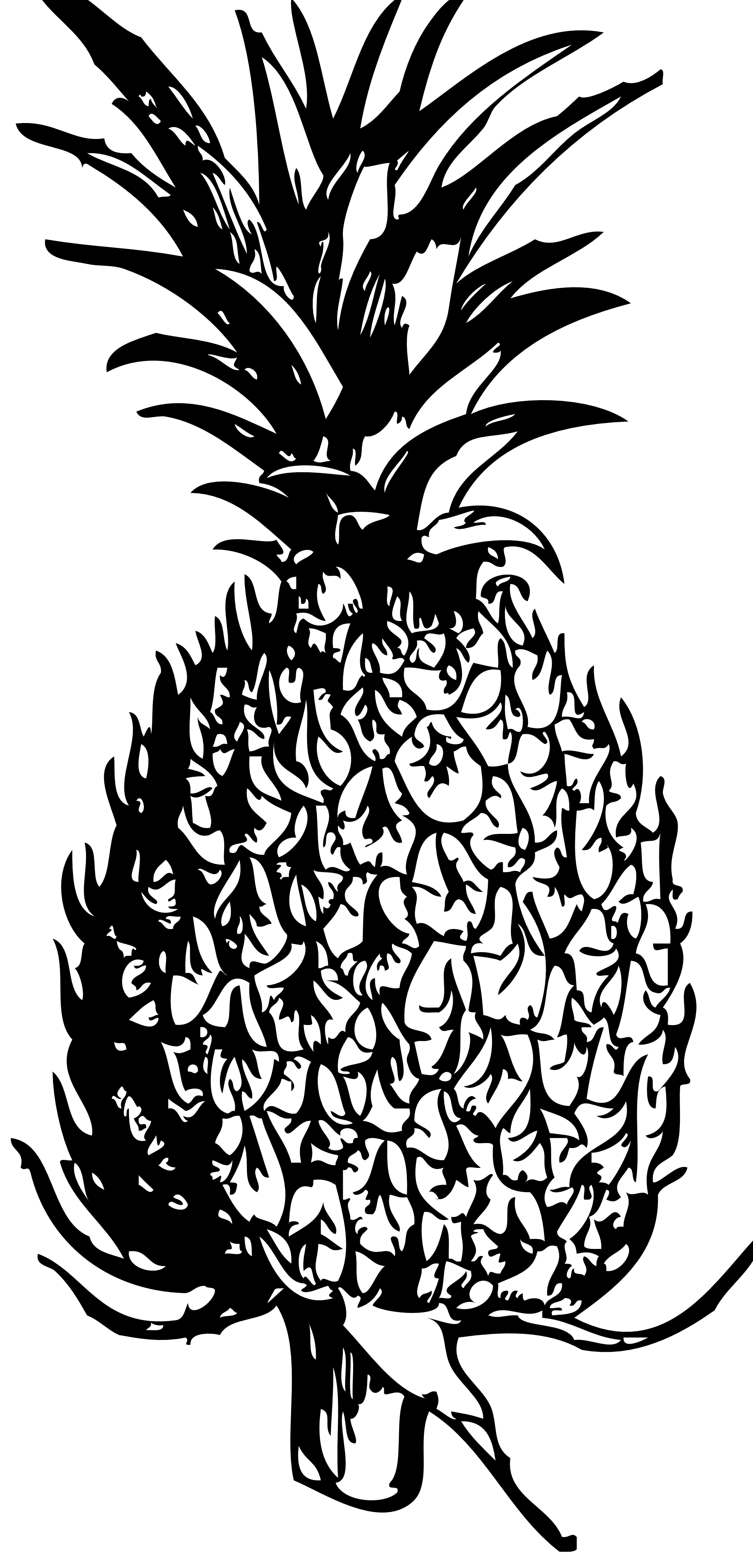 1979x4118 Pineapple Clipart Black And White