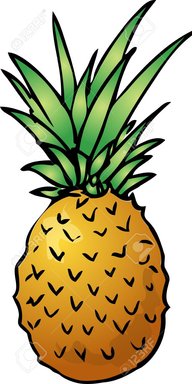 652x1300 Sketch Of A Pineapple. Hand Drawn Lineart Look Illustration