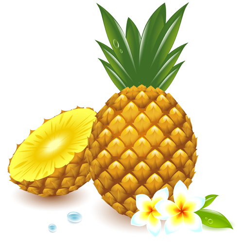 500x500 Free Pineapple Clipart Image