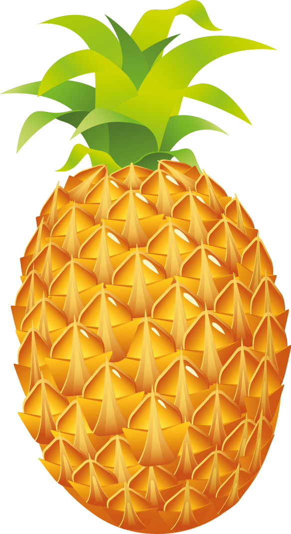 583x1069 Pineapple Clipart Png