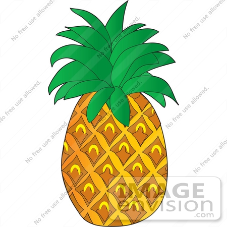 450x450 Pineapple Fruit Clipart