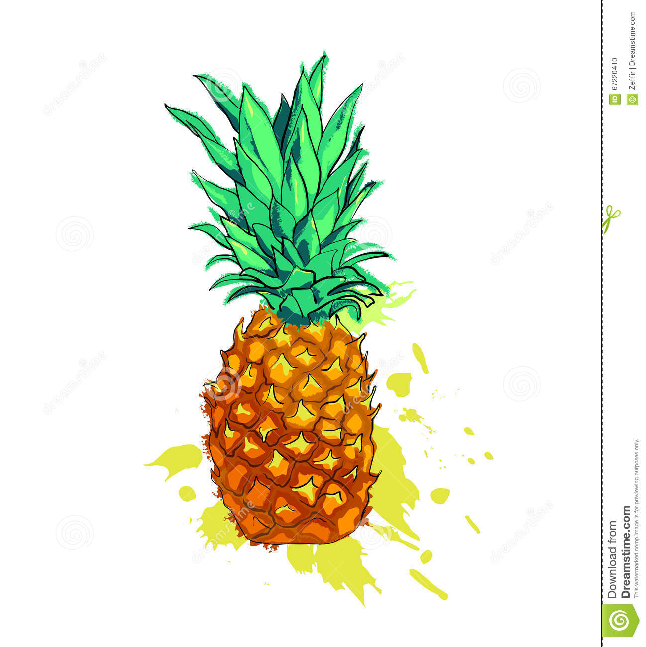 1298x1300 Pineapple Clipart Watercolor