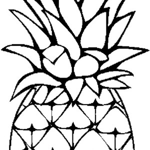 300x300 Pineapple Outline