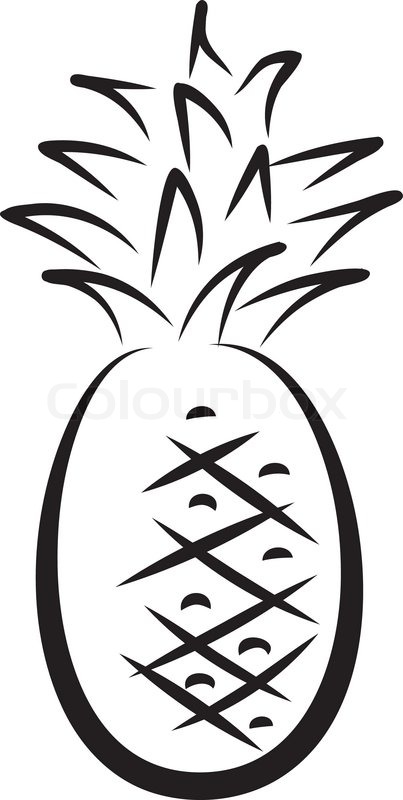 403x800 Artistic Outline Sketch Of Pineapple. Vector Illustration Stock